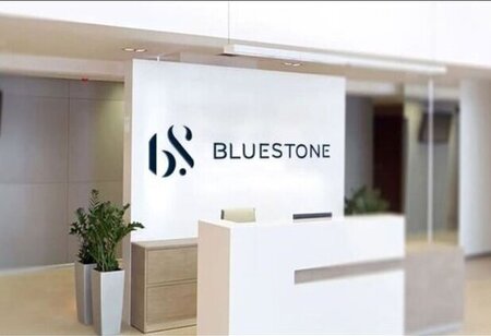 BlueStone Grants Rs 11 Crore ESOPs to Employees Ahead of Result